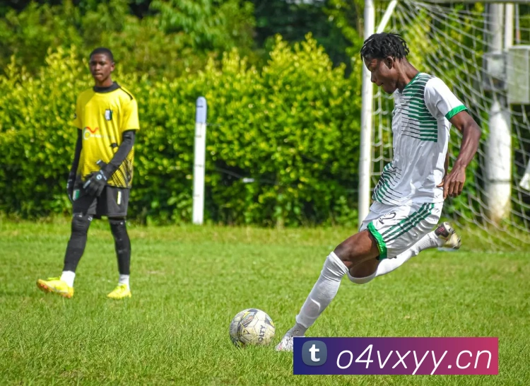 星空app官网发展历程